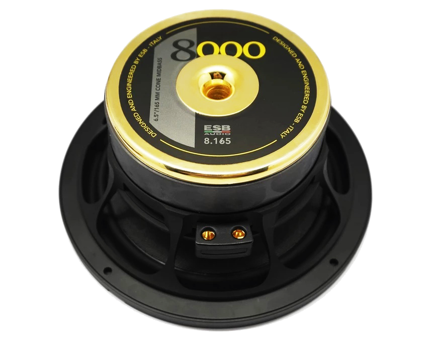 ESB Audio 8.6K2 6.5" 2-way Car Speaker - SET